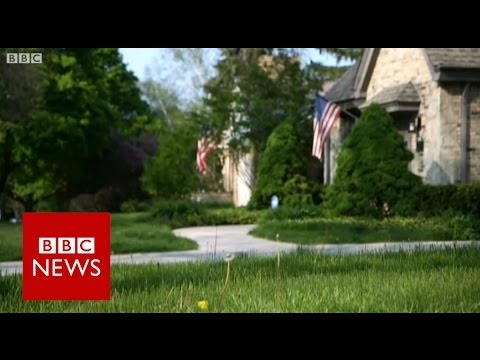 Inner the mind of white The USA – BBC News