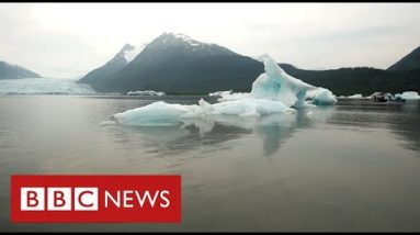 Alaska’s melting glaciers power folks from their properties as sea rises – BBC Files