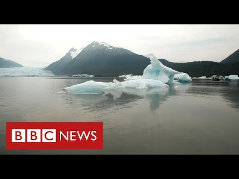 Alaska’s melting glaciers power folks from their properties as sea rises – BBC Files