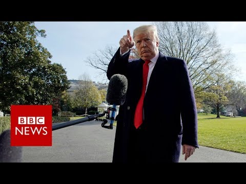 Trump claims lawyer Michael Cohen is “lying to within the reduce worth of his sentence”- BBC News