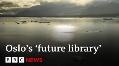 The ‘future library’ collecting books that obtained’t be be taught for 100 years – BBC News