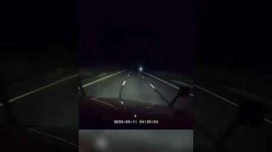 Trucker baffled after dashcam captures outlandish decide on Arizona motorway