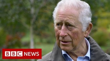 Prince Charles tells BBC his Aston Martin runs on wine and cheese – BBC News