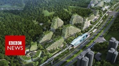 China’s first forest metropolis – BBC Details