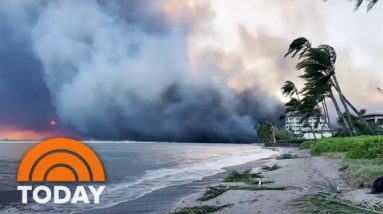 Survivors of wildfires in Hawaii allotment harrowing reviews