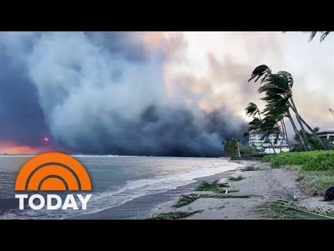 Survivors of wildfires in Hawaii allotment harrowing reviews