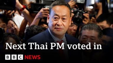 Srettha Thavisin voted as subsequent Thai top minister after Shinawatra jailed – BBC Info