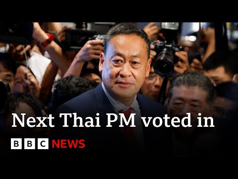 Srettha Thavisin voted as subsequent Thai top minister after Shinawatra jailed – BBC Info