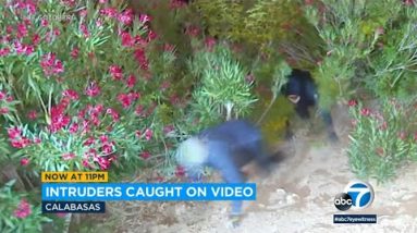 Masked intruders frantically flee thru bushes within the course of tried burglary at Calabasas home