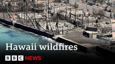Maui fire loss of life toll rises to no lower than 99 – BBC News