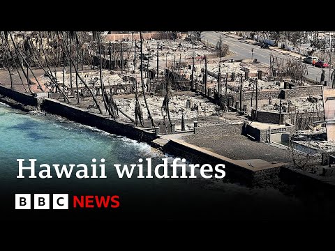 Maui fire loss of life toll rises to no lower than 99 – BBC News