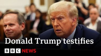 Donald Trump testifies in Unique York civil fraud trial – BBC Recordsdata