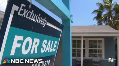 Dwelling sales up nationwide even as costs upward push and mortgage charges live high