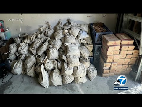 Household finds 1 million pennies whereas cleaning Los Angeles house