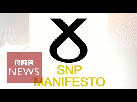 SNP manifesto in 15 seconds – BBC Recordsdata